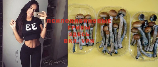 spice Баксан