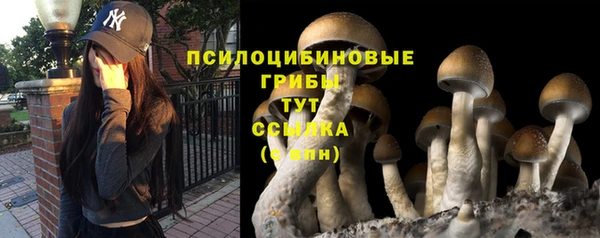 гашик Балабаново