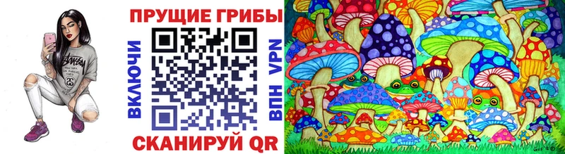 Галлюциногенные грибы Cubensis Таруса